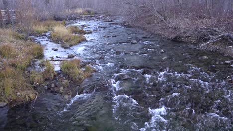 Centro-De-Visitantes-De-Taylor-Creek-En-El-Sur-Del-Lago-Tahoe,-Un-Lugar-Popular-Para-Ver-Osos-Hibernando-Y-Alimentándose-De-Salmón-Rojo-Kokanee-En-Otoño