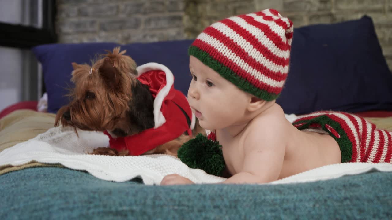 adorable niño pequeño está acostado en la barriga en la cama al lado de un perro lindo en chaqueta roja y riendo