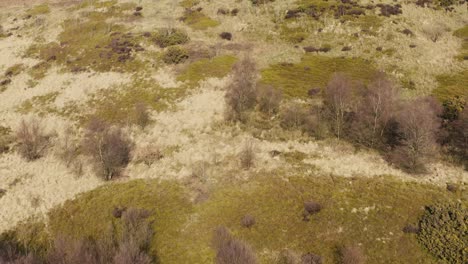 aerial view of english moorland and woodland