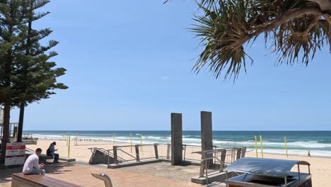 people walking along a beachfront promenade with trees