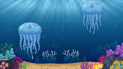 depicts stages of jellyfish life cycle