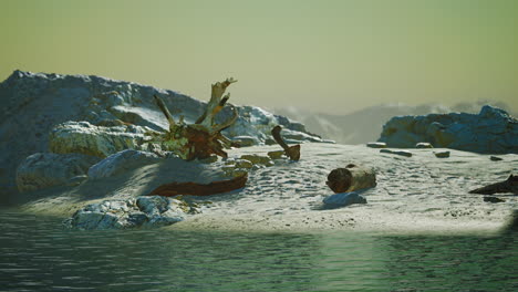 private beach below sandstone cliffs in ocean