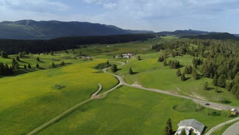 Schöne-Ländliche-Landschaft-Mit-Grüner-Wiese,-Bäumen-Und-Monts-Jura-Berg-Im-Hintergrund