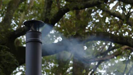 Plano-Medio-A-La-Izquierda-Del-Marco-De-Una-Chimenea-De-Metal-Con-Humo-Ligero,-Un-Gran-árbol-Detrás