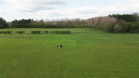 Male-owner,-family-pets-chasing-fast,-grass-field,-slow-motion,-aerial