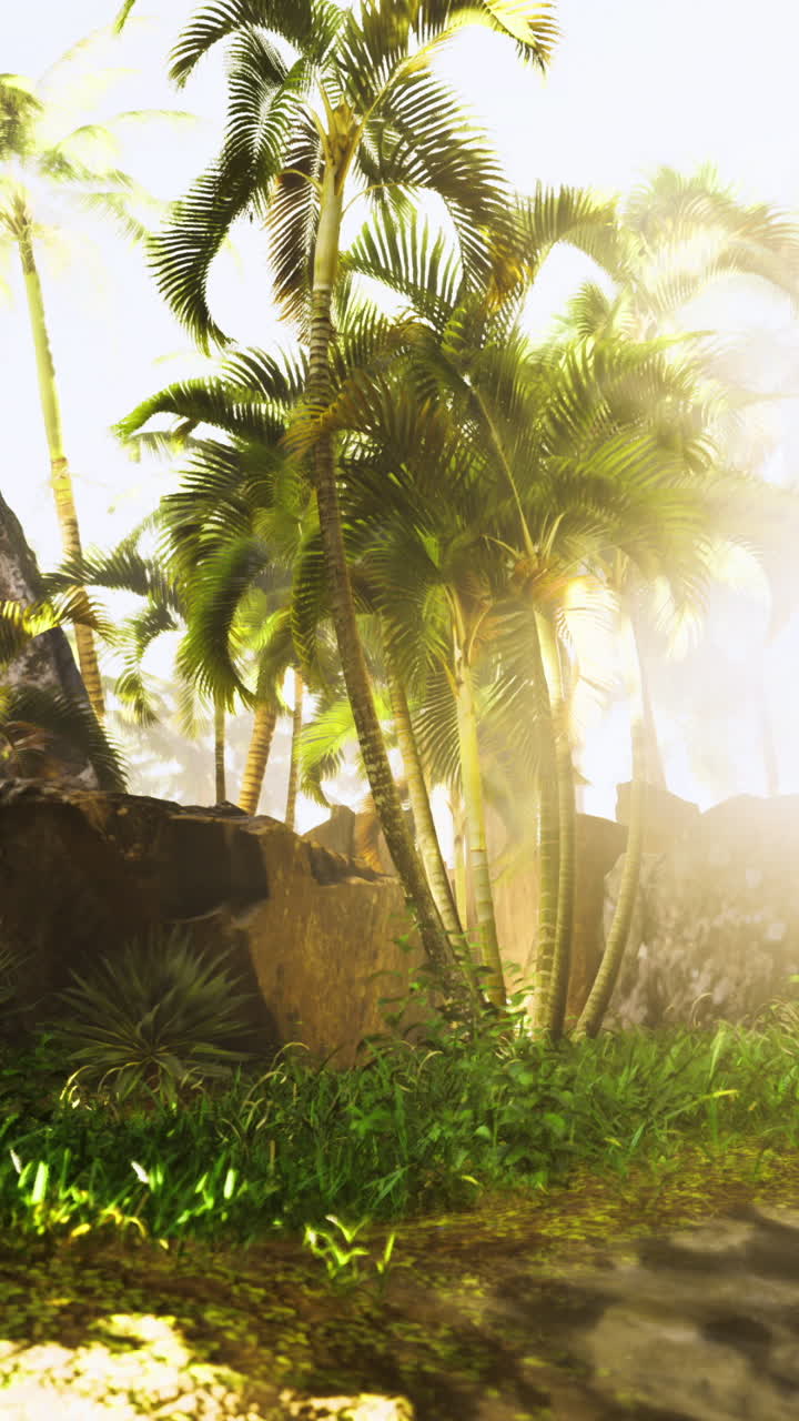 Lush tropical landscape with sunlight filtering through palm trees and foliage