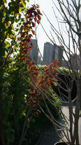 urban rooftop garden with city view