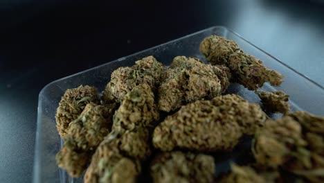 un primer plano detallado de una grúa girando hacia atrás de una planta de cannabis, flor de marihuana en un plato transparente, cepas híbridas, indica y sativa, cámara lenta de 120 fps full hd, iluminación de estudio cinematográfico