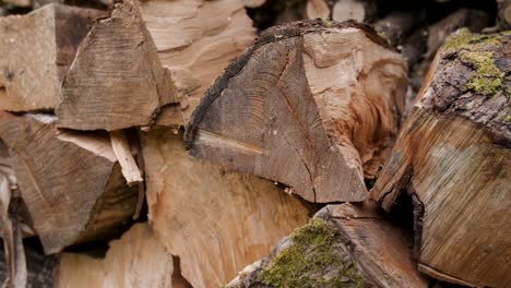 Toma-Estrecha-De-Una-Pila-Cuidadosamente-Apilada-De-Madera-Dividida