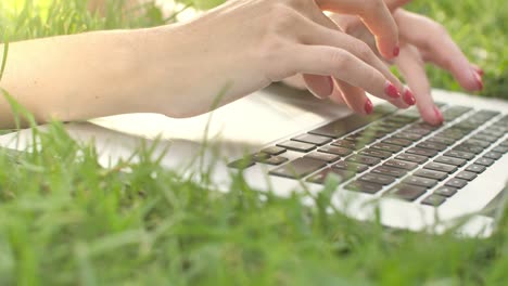 hands typing on laptop keypad on green grass.