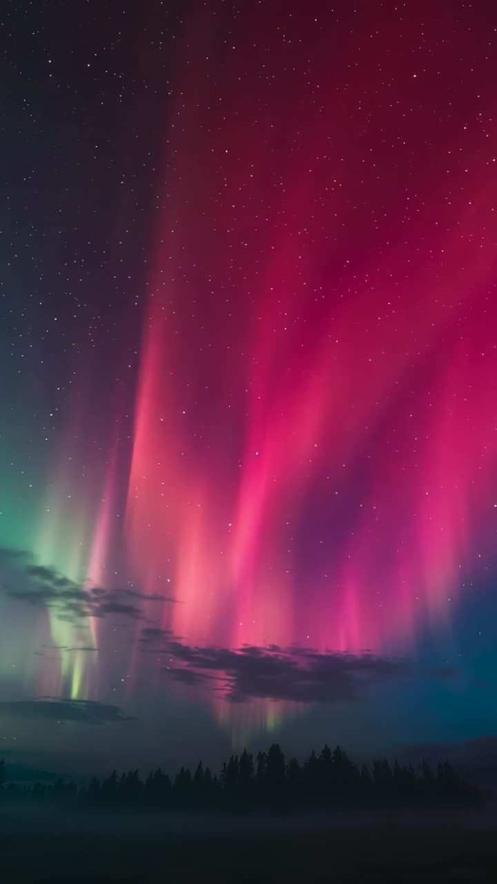 Vertical video: Solar wind arriving, aurora rising and merging above fir treeline at night with fog
