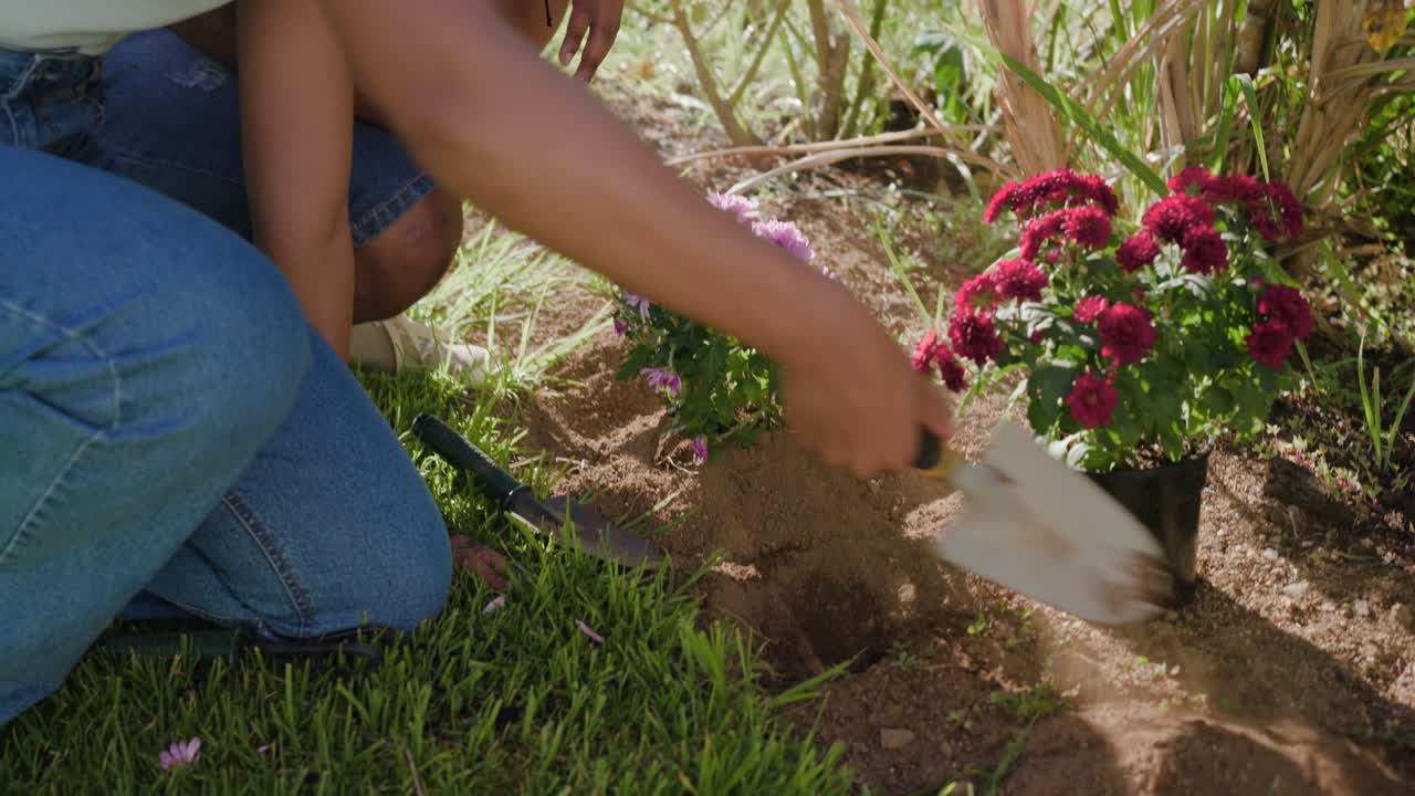 Casal afro-americano ajoelhado no canteiro de jardim, plantando flores em vasos rosa e vermelhas com uma pá de jardinagem.