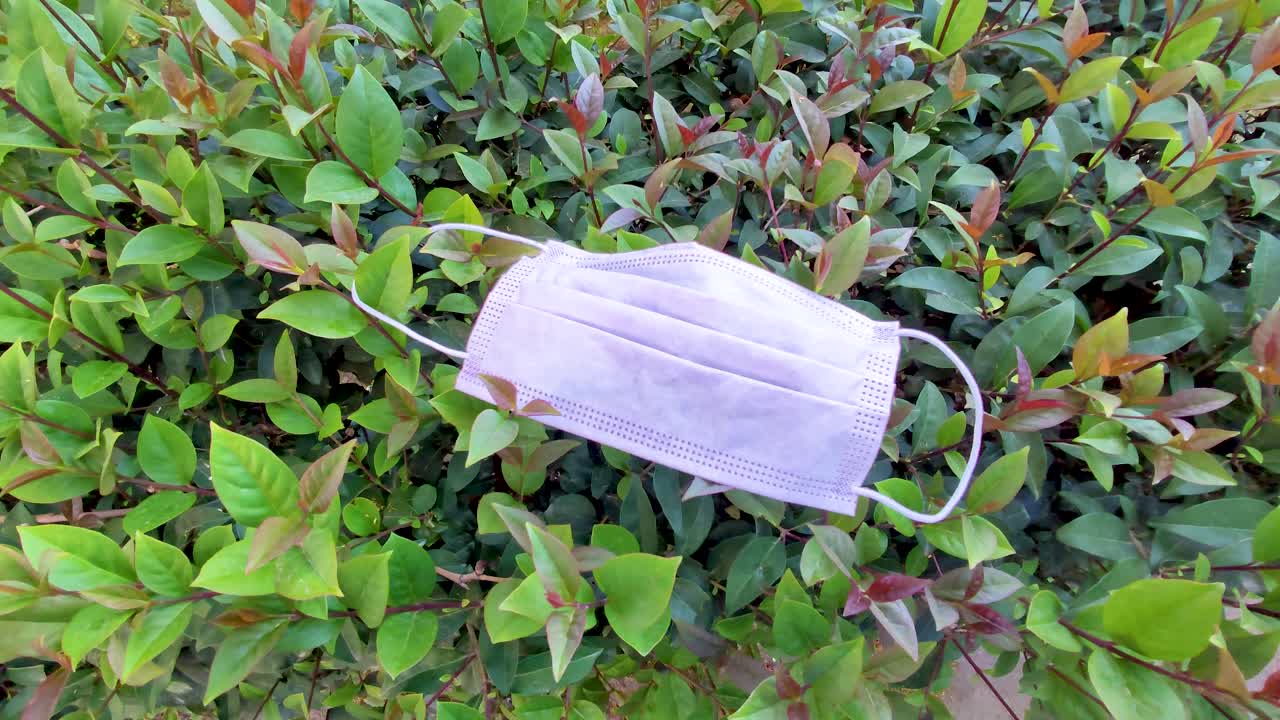 보호 마스크가 풀 위에 누워 있습니다.