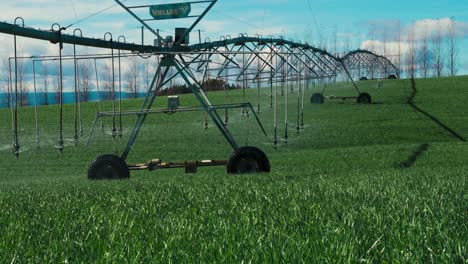máquina de riego de pivote central, pulverización de agua automatizada sobre cultivos verdes, agricultura futura