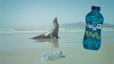 animation of stop using plastic bottles text on bottle over seal and plastic bottle on beach