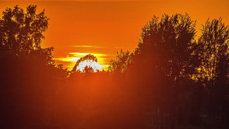 a bright, glowing, fiery sunset beyond the forest trees - zoomed in time lapse