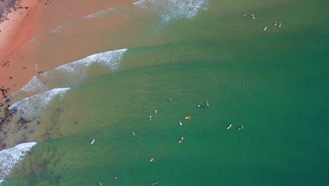 Surfers-On-Turquoise-Beach-Of-Noosa-National-Park-With-Dense-Rainforest-In-Queensland,-Australia