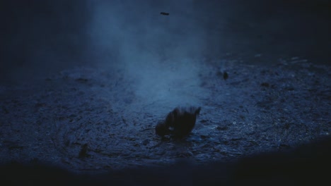 boiling hot geothermal volcanic mud pool, closeup shot steamy lake bubbling mud and steam satisfying