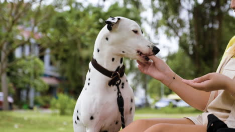 Frau-Mit-Hund-Im-Park