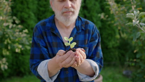 an elderly man holds the young plant in his hands - a nature preservation concept