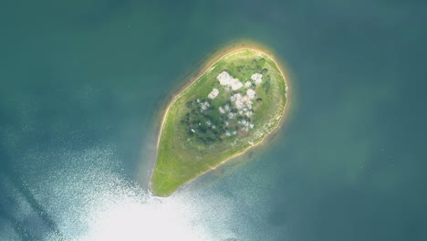 Top-view-of-lake-island-with-white-trees-in-Batak,-Bulgaria