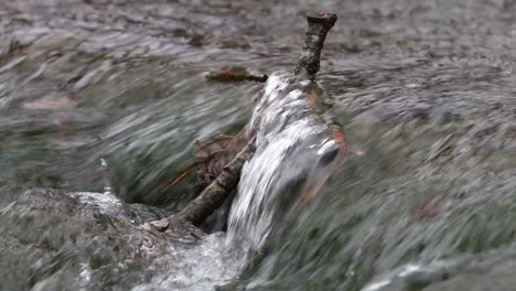 Agua-Clara-Que-Fluye-Sobre-Rocas-Y-Ramitas-En-Un-Pequeño-Arroyo