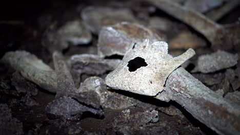 ancient human remains found in cave