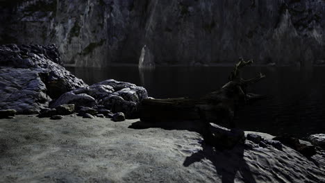 rocky shoreline with weathered logs and still water reflecting cliffs