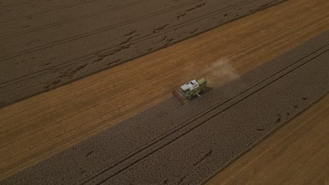 Combine-harvester-driving-through-a-field-of-wheat-crops