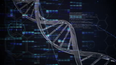 animación de la cadena de adn que gira sobre el procesamiento de datos científicos en fondo azul