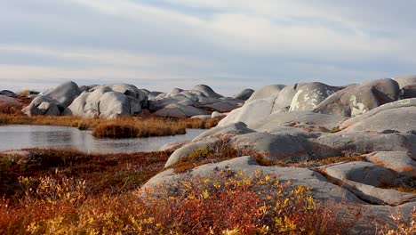 Rocas-Pintadas-Cerca-Del-Estanque-Churchill-Manitoba-Canadá-Costas-De-La-Bahía-De-Hudson-Camión-Derecha-Tiro-En-Movimiento-Lento