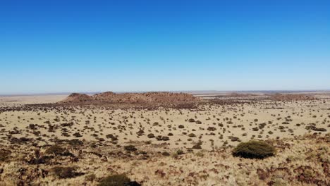 vista en movimiento lento sobre un pastizal de sabana africana