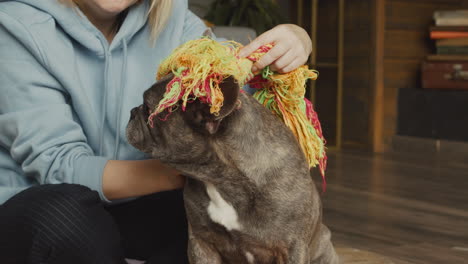 red haired woman playing with her bulldog dog putting him a toy on its head while she is sitting on the floor in the living room at home