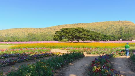 visitors enjoy a colorful garden walk