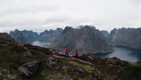 Vista-Lateral-Aérea-De-Una-Pareja-Y-Su-Perro-Golden-Retriever-Caminando-Por-La-Montaña-Reinebringen,-Reine,-Islas-Lofoten,-Noruega