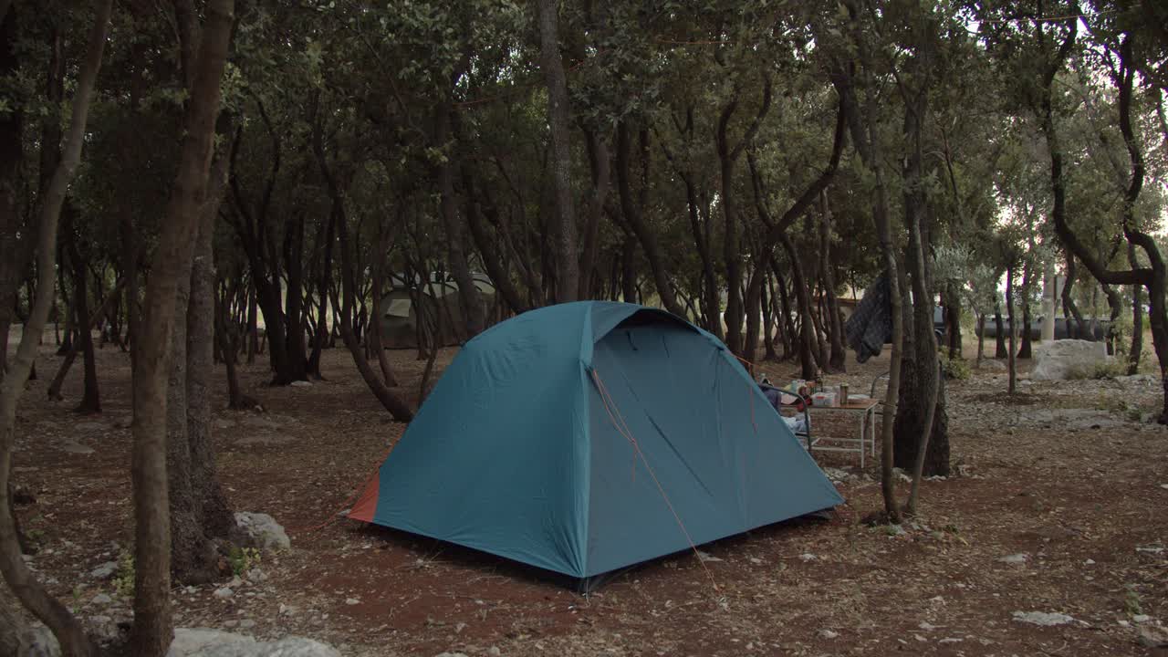 숲에서 캠핑하는 것