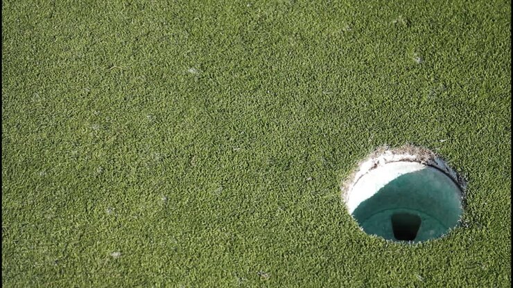 Putting green di un campo da golf con buca