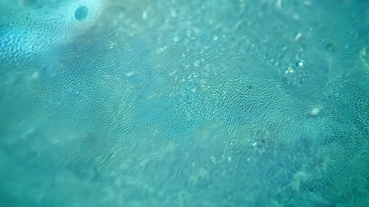 imágenes microscópicas de células y agua