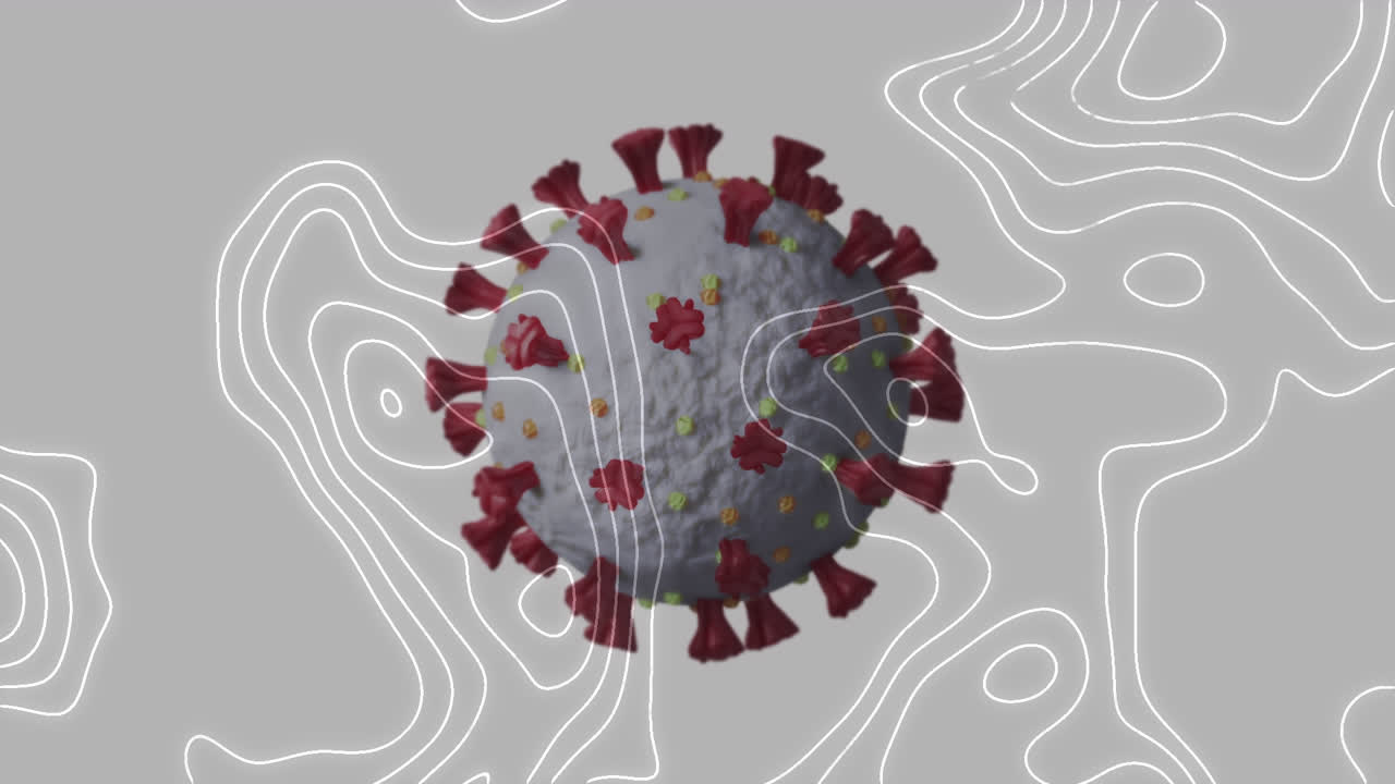 animación de células de covid-19 y líneas de mapa blancas en movimiento
