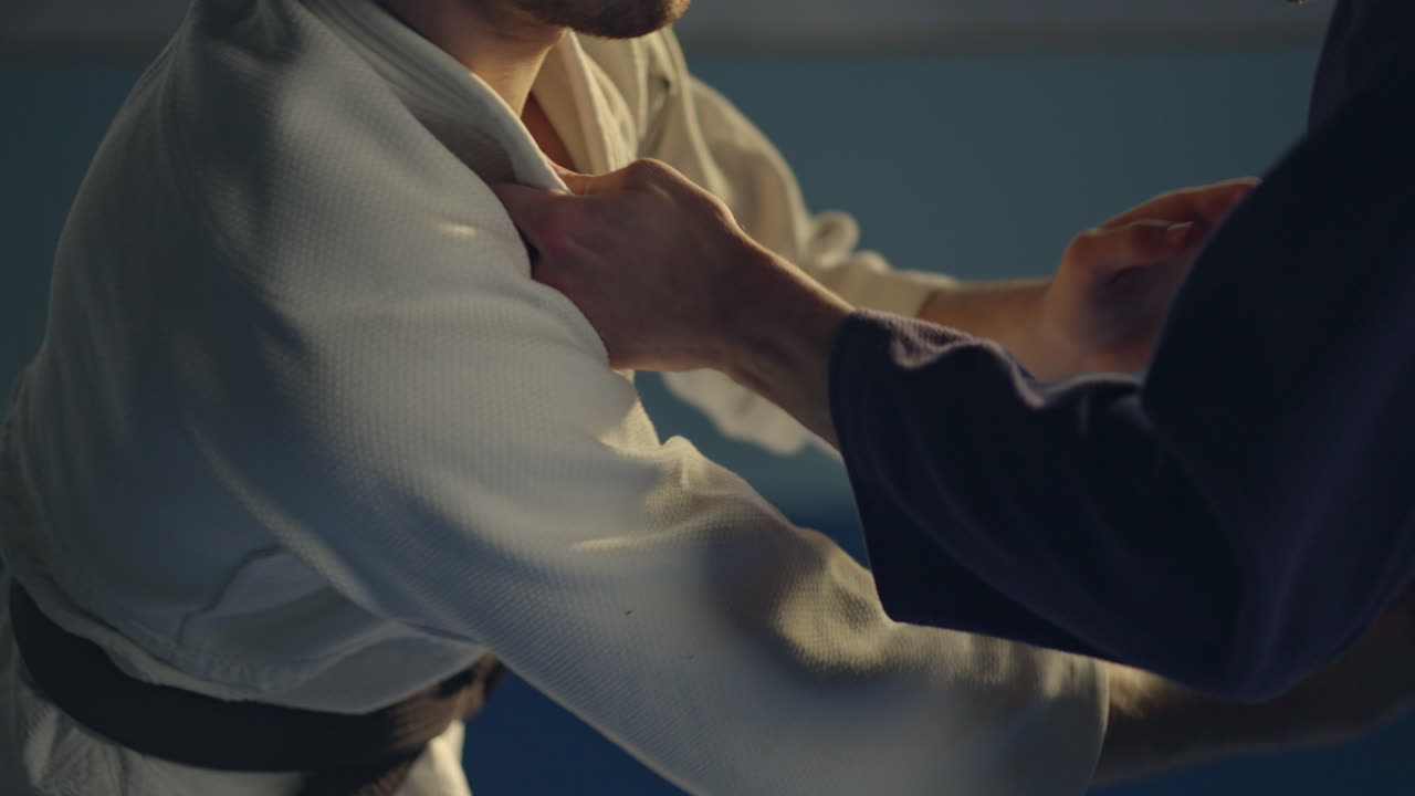 Martial Arts Grappling and Fighting