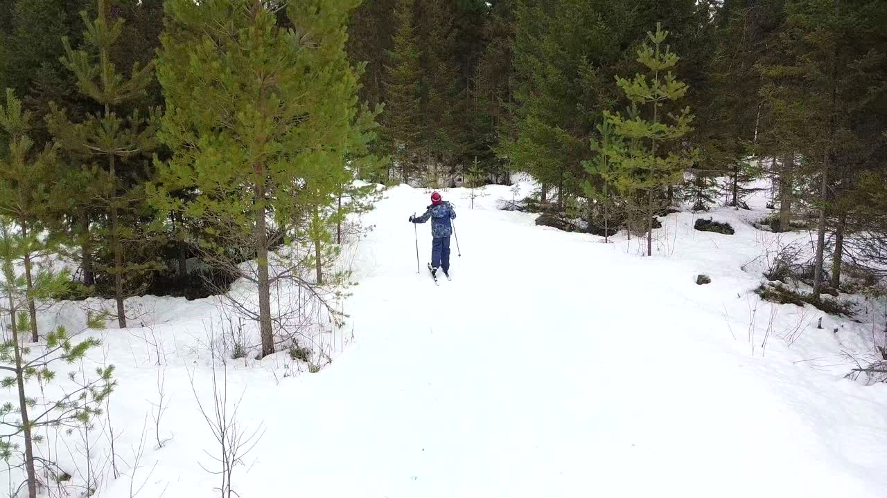 Boy not happy doing winter activities, cross-country skiing in winter forest, aerial view