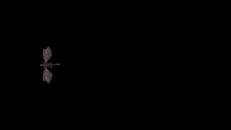 realistic dragon flies from right to left in a straight line, overhead plane on black background