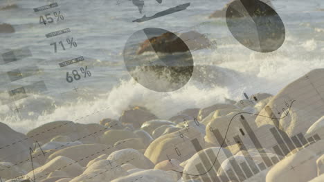 financial data charts and percentages animation over rocky beach with waves