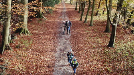 drone shot of smiling grandparents walking with grandchildren along path in autumn countryside