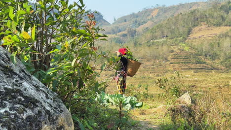 a woman carefully searching through natural terrain in a wild outdoor setting. this footage captures exploration and curiosity, ideal for survival, adventure, or nature-themed projects.