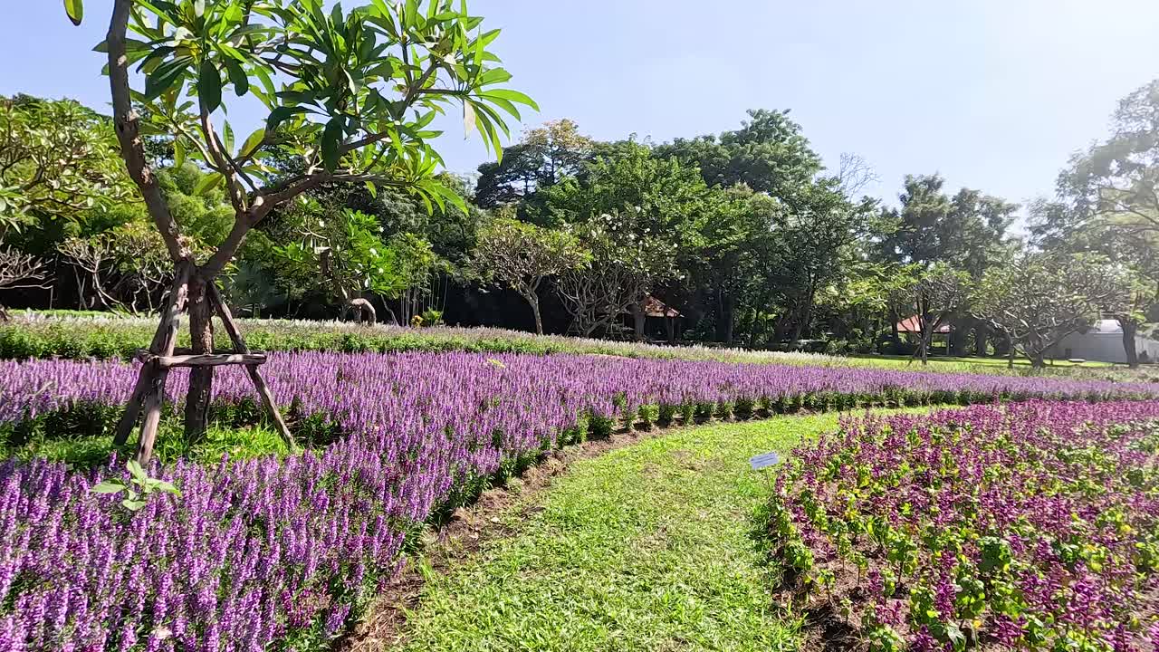 방 공원의 울창한 정원과 활기찬 꽃
