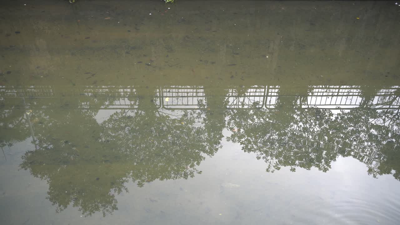 Gentle ripple of water and mesmerising reflection of trees in the canal.