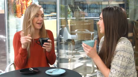 Pretty-friends-chatting-over-coffee-in-cafe