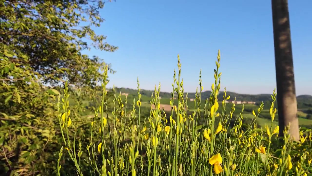 Wide shot of lush green hills and agricultural fields under a clear blue summer sky.