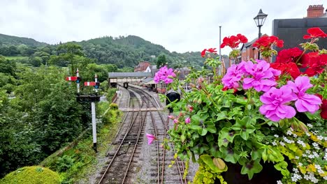 flowers overlooking train tracks in llangollen, wales